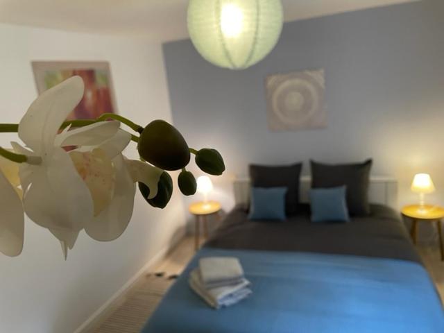 Appartement Cosy Hyper Centre Châteauroux Exterior foto